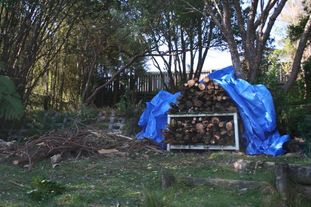 Our firewood pile