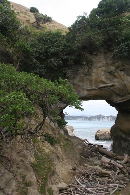 East Cape - 41 - The Hole in the wall (The koutere o te whenua) - Cooks Cove