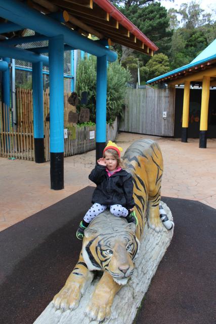 Wellington Zoo - 2