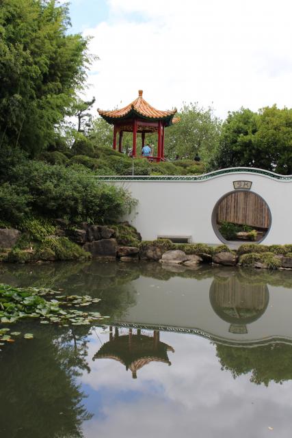 155 - Chinese scholar garden, Hamilton Enclosed gardens
