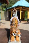 Wellington Zoo 18 - Sophie sur statue de Tigre