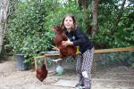Charlotte Liger - chickens Fluffy and Pecky - photo comp