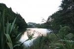 Karori Sanctuary - Lower dam lake