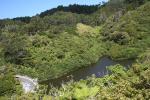 Karori - Park - View over the upper dam