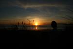 114 - Mahia Peninsula - Flo in Sunset on Mahia Beach