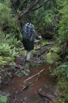 21 - Stewart Island - Jeff crossing the mud