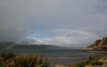 Rainbow on Evans Bay
