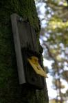 Rimutaka Forest Park 002 - Rat trap