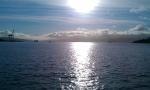 Morning sun on Wellington harbour