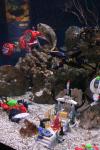 29 - Lego aquarium, Kelly Tarlton Aquarium