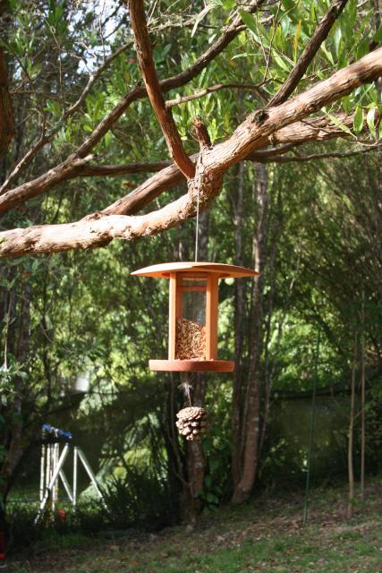 2012-02-20 Bird feeding station