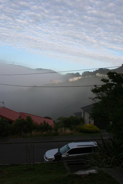 2012-04-02 In between the fog