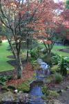 Gentle Annie Road Trip - 36 - Napier Botanical Gardens