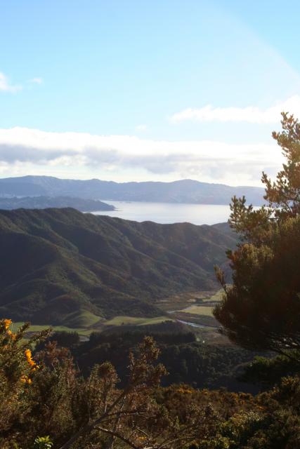 05 - Wainuiomata River and Wellington Harbour from Butcher lookout