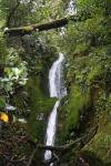122 - Waterfall and fluorescent moss