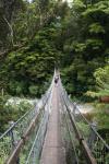 Kaitoke 05 - Pakuratahi Forks swing bridge