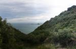 Te Ranga A Hiwi - 1 - View towards Island Bay