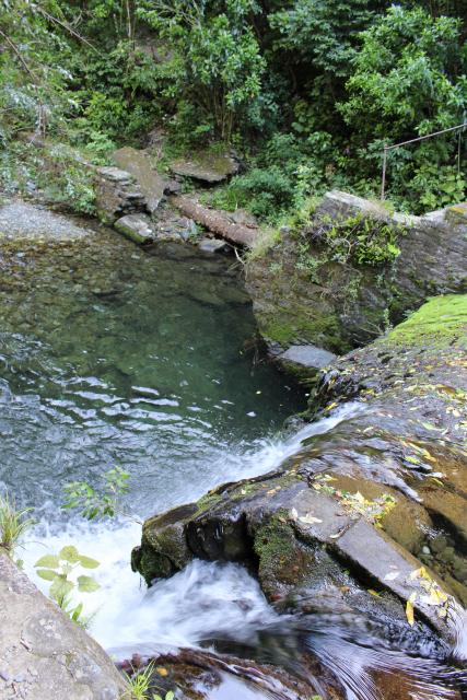 Upper Moutere 2016 - 25 - Weir, Brook Waimarama Sanctuary