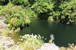 Otaki Forks 36 - Roto Mahara, Historic Arcus Dam walk
