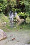 Rotorua 2019 - 14 - Rainbow Springs - Wairere falls