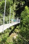 Golden Bay 49 - Wainui Falls walk
