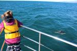 Kaikoura 05 - Sophie and Dusky dolphin, Dolphin encounter