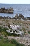 Kaikoura 33 - Sea gulls, Nins Bin's tables