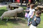 Wellington Zoo 02 - Sheep & the girls