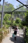 Wellington Zoo 05 - Kea
