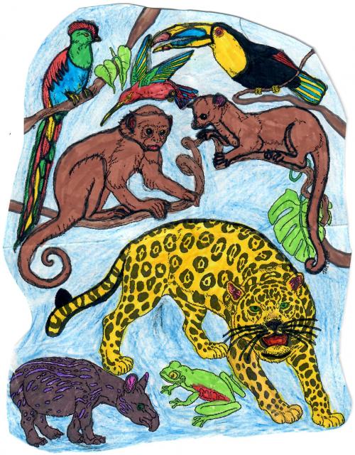 2020-10 coloriage animaux