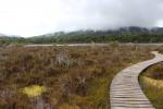 042 Te Anau - Kepler track wetland