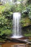 111 Catlins - Koropuku Falls