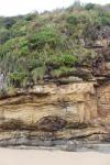 126 Catlins - Rock formation at Waipati Beach