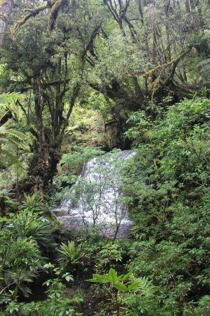 148 Catlins - Lower Waipohatu Falls - Punehu Falls