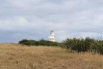 155 Catlins - Catlins flat trees and Waipapa Point lighthouse
