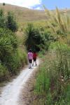 Mahia Peninsula 02 - Mokotahi Hill walk