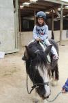 Masterton 13 - Horse riding in Longbush