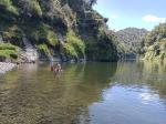 Whanganui River 16