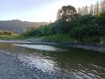 Whanganui River 24