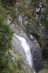110 - Tamborine National Park - Cedar Creek Falls