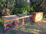Chicken coop building
