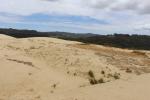 016 - Te Paki sand dunes