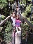 083 - Redwoods treewalk, Whakarewarewa