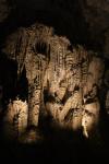 163 - Waitomo glowworm cave