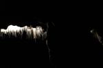 165 - Waitomo glowworm cave
