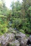 38 - Abel Tasman National Park - Waterfall Creek