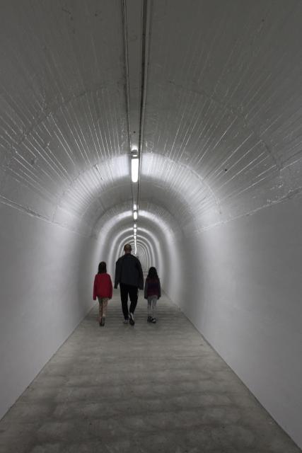 Wanganui 12 - Durie Hill Tunnel