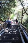 Wanganui 18 - Going back down on Durie Hill steps