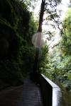 06 - Mangapohue Natural Bridge